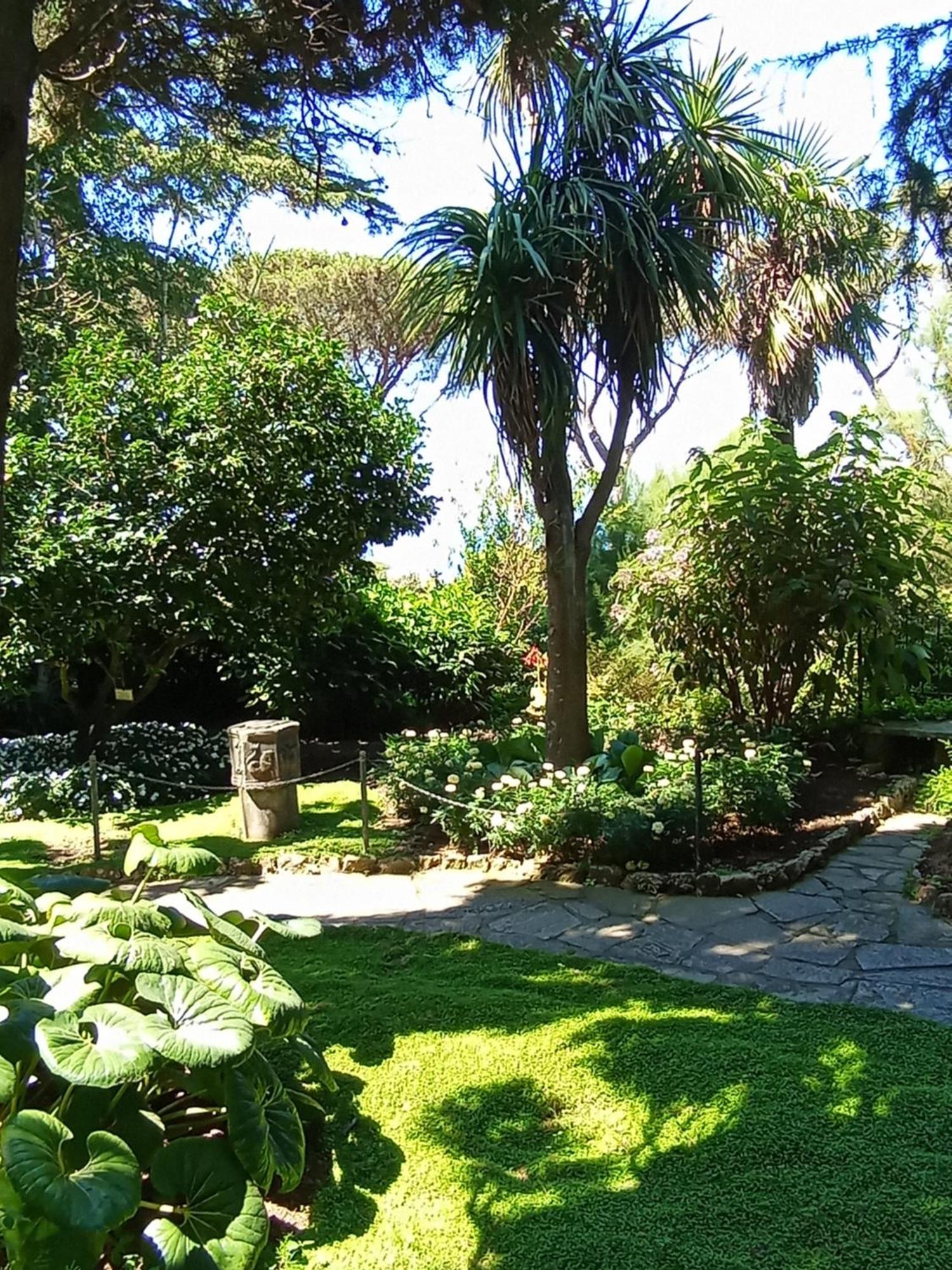 L'Archetto Romantic Suite In The Center Of Anacapri Bagian luar foto